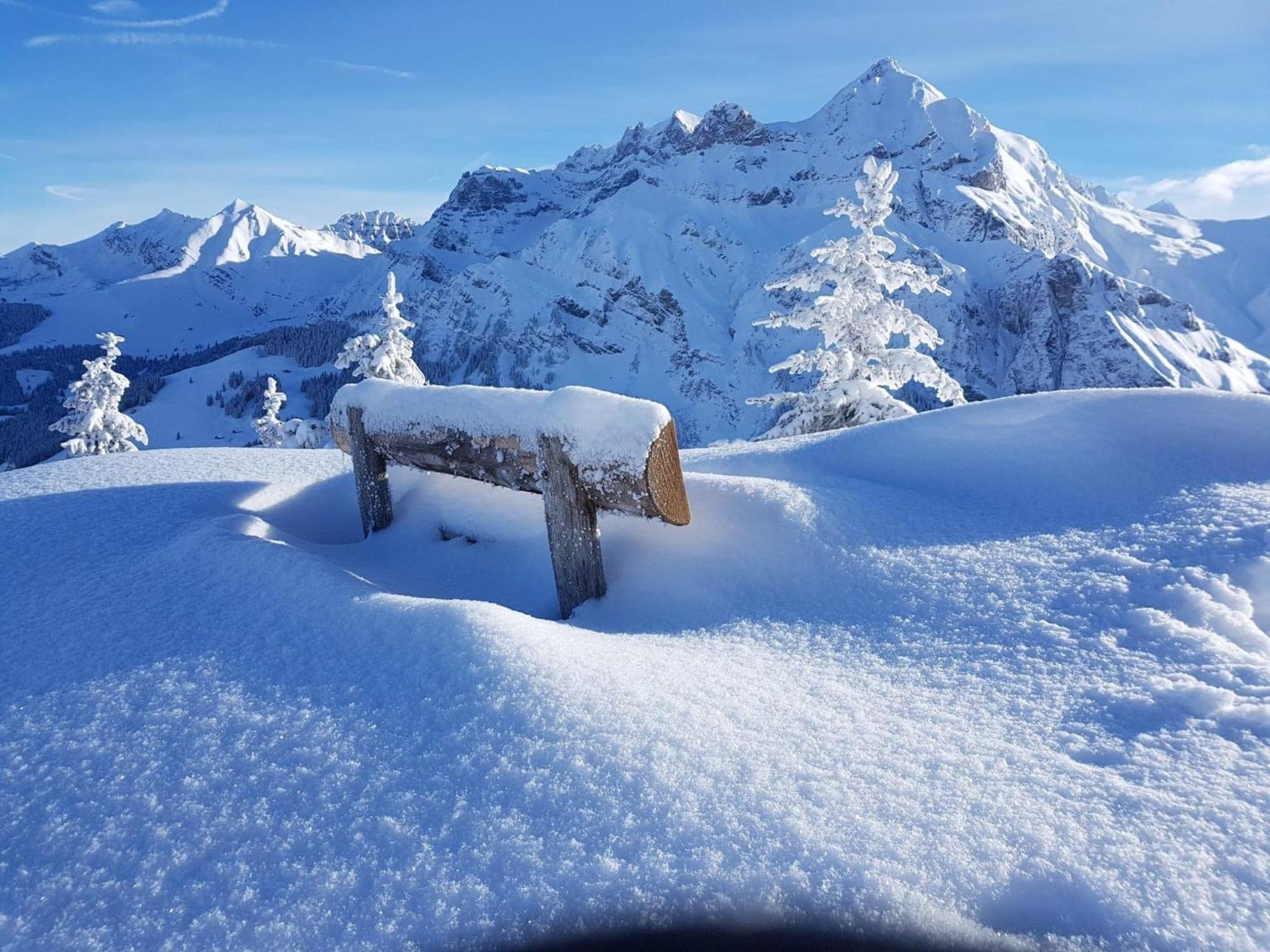 Lärchehuus Apartment Adelboden